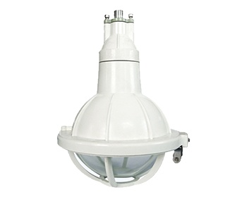 Intelligent explosion-proof system