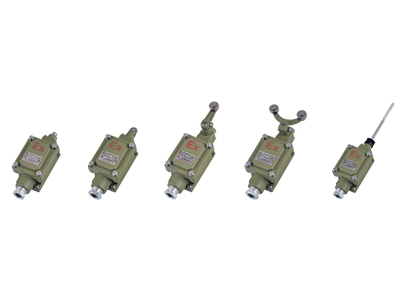 Explosion-proof travel switch
