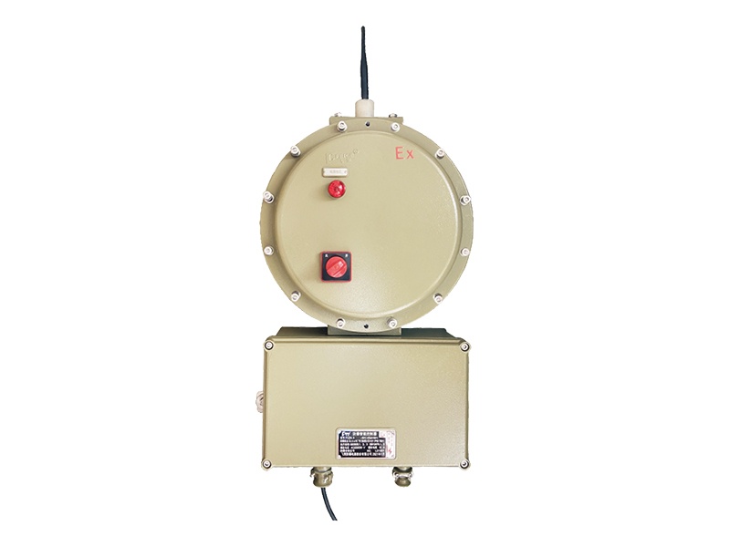 Explosion-proof intelligent controller