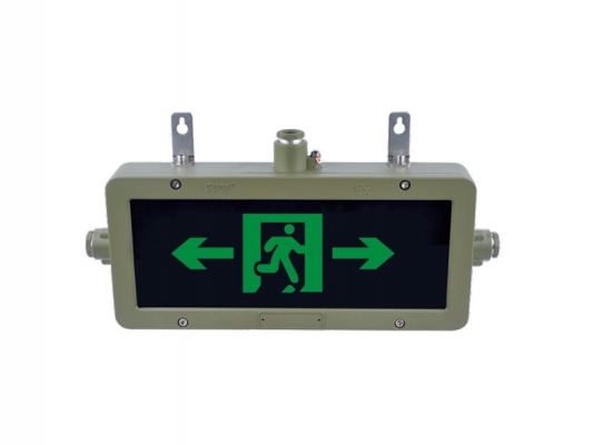 Fire emergency signs lamps / dyD-B explosion-proof lights