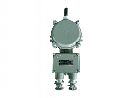 Explosion proof intelligent sensor