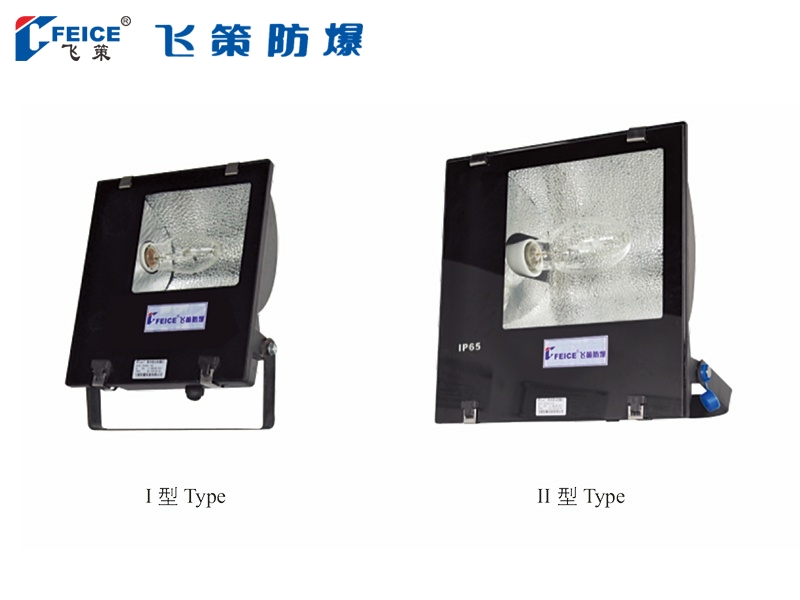 防水防塵防腐投光(泛光)燈SFD65-系列