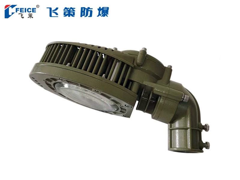防爆高效節(jié)能 LED 燈(平臺燈)FCD97-系列
