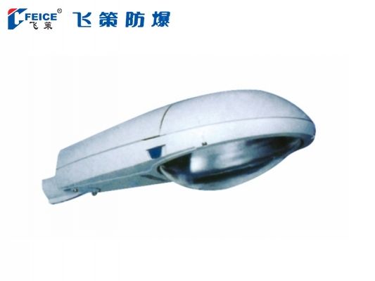 防水防塵防腐路燈SFD66-系列